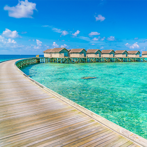 daleke destinacije 1x1 1